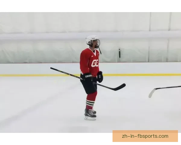 冰球技术大揭秘，精彩教学视频带你飞