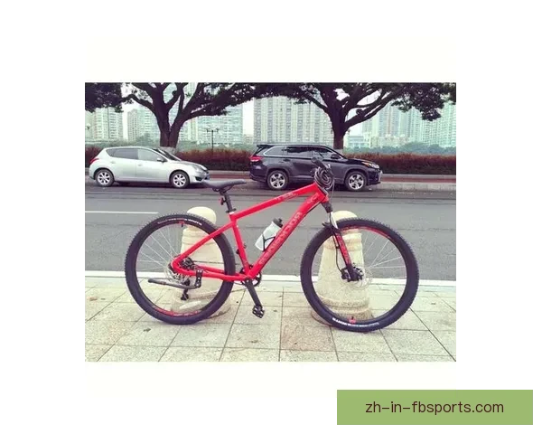 山地车排名大揭秘：最新排名榜单发布