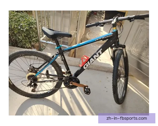 山地车入门指南：从选车到技巧，带你探索山地骑行的乐趣