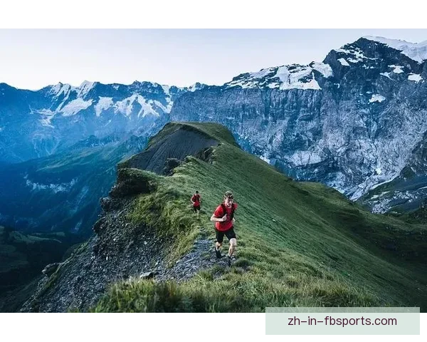 挑战自我，攀登极限：探索越野跑高效训练方法