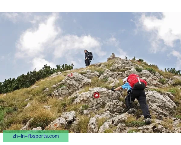 攀岩锦标赛：挑战极限，征服高峰