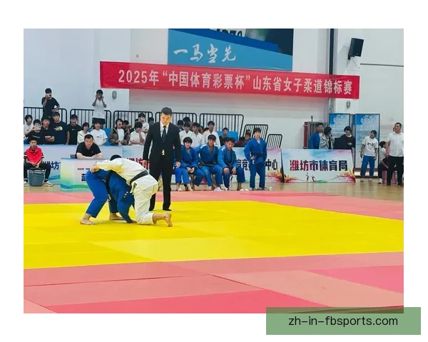 精彩纷呈的柔道直播精选汇总