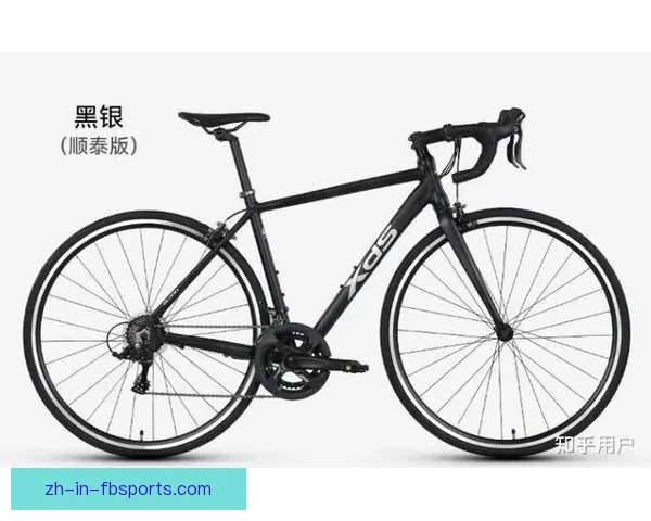 自行车数据分析：骑行趋势洞悉，健康生活智慧指引