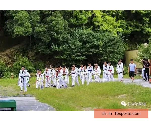 跆拳道冠军：强者之路，拼搏与荣耀