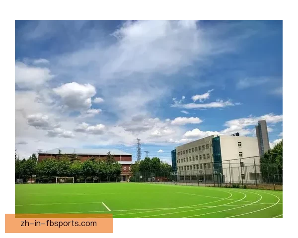 跆拳道数据分析与技术提升研究