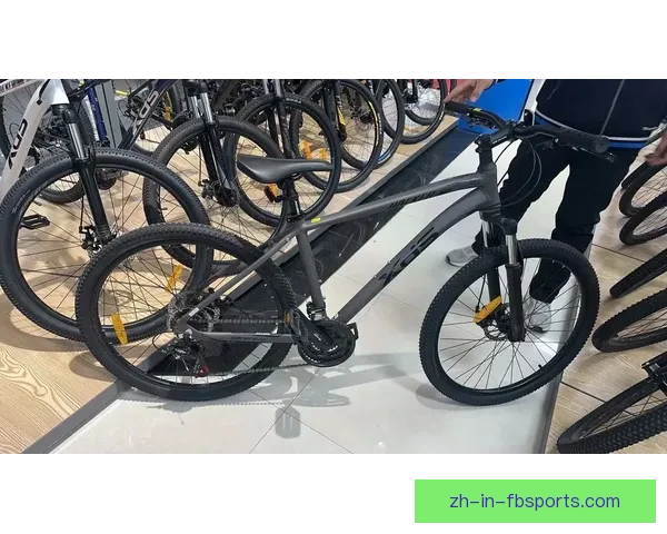 骑行乐园：山地车新潮流